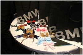 京順寶BMW 3系麗人節(jié)主題活動(dòng)圓滿落幕，以“悅己”之姿，馭風(fēng)而行
